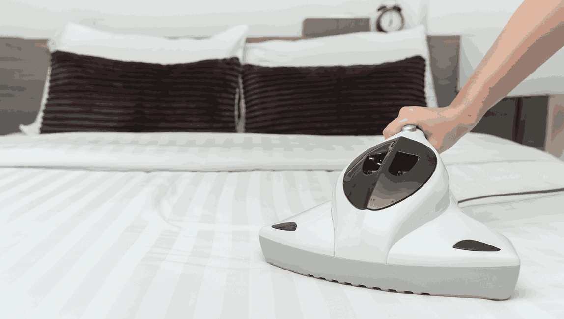 Professional Mattress Cleaning Safety Beach